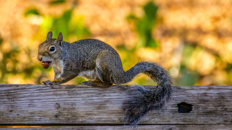 IMG_3179-Edit