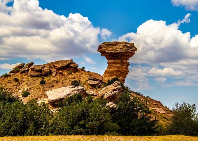 New Mexico